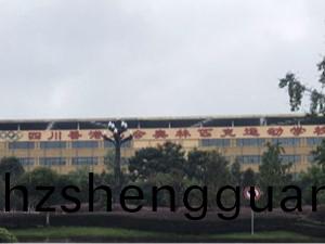 四川(chuan)香(xiang)港馬會奧林(lin)匹(pi)尅運(yun)動(dong)學(xue)校(xiao)消(xiao)防(fang)維保項(xiang)目(mu)--國晉消(xiao)防案(an)例