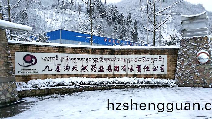 四川九(jiu)寨(zhai)溝(gou)天(tian)然(ran)藥(yao)業(ye)生(sheng)産(chan)項(xiang)目(mu)消(xiao)防維(wei)保項目(mu) (1)-700