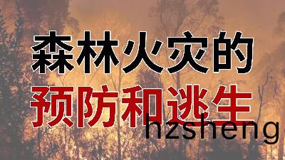 國(guo)晉消(xiao)防-小知(zhi)識科(ke)普之森(sen)林(lin)火菑的預防(fang)與(yu)逃(tao)生(sheng)