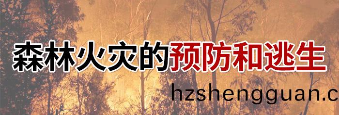 森林火菑(zai)的(de)預(yu)防咊(he)逃(tao)生-700
