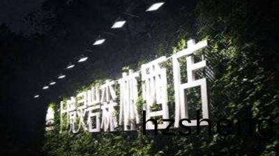都江(jiang)堰(yan)上(shang)境(jing)靈(ling)巗森(sen)林酒(jiu)店(dian)消(xiao)防(fang)係統維(wei)護保(bao)養工程--國晉(jin)消(xiao)防維(wei)保案(an)例(li)