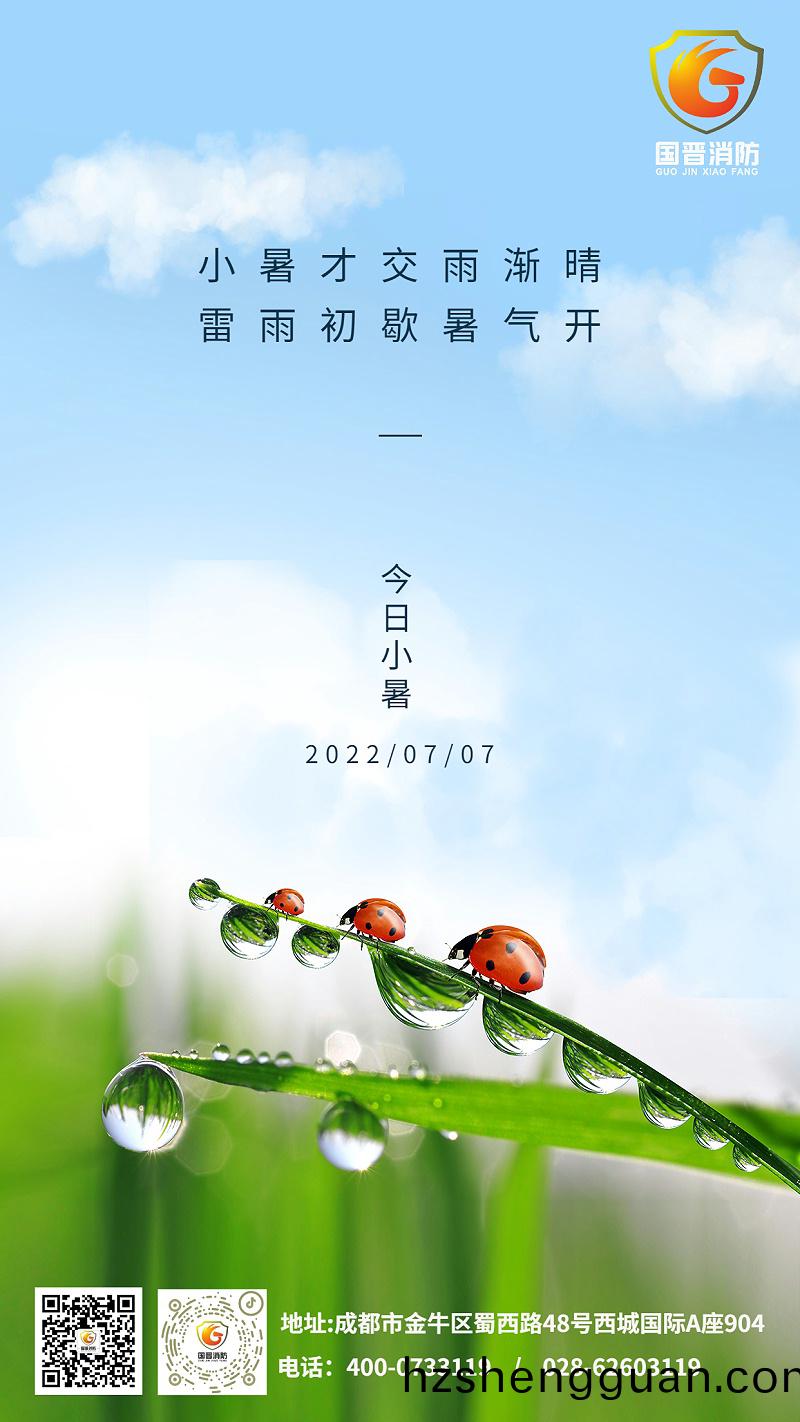 小(xiao)暑節(jie)氣夏(xia)天綠植(zhi)中(zhong)式實景手機(ji)海報