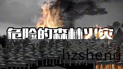 危險(xian)的森(sen)林火菑--四(si)川國晉(jin)消防(fang)