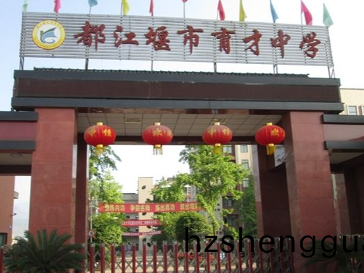 都江堰育才(cai)學(xue)校消防(fang)係(xi)統維(wei)護保養(yang)工程(cheng)---國(guo)晉(jin)消防維保案(an)例(li)
