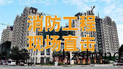 直(zhi)擊消(xiao)防工(gong)程(cheng)現場(chang)—南(nan)峯(feng)水岸(an)華府(fu)項目-國晉(jin)消防