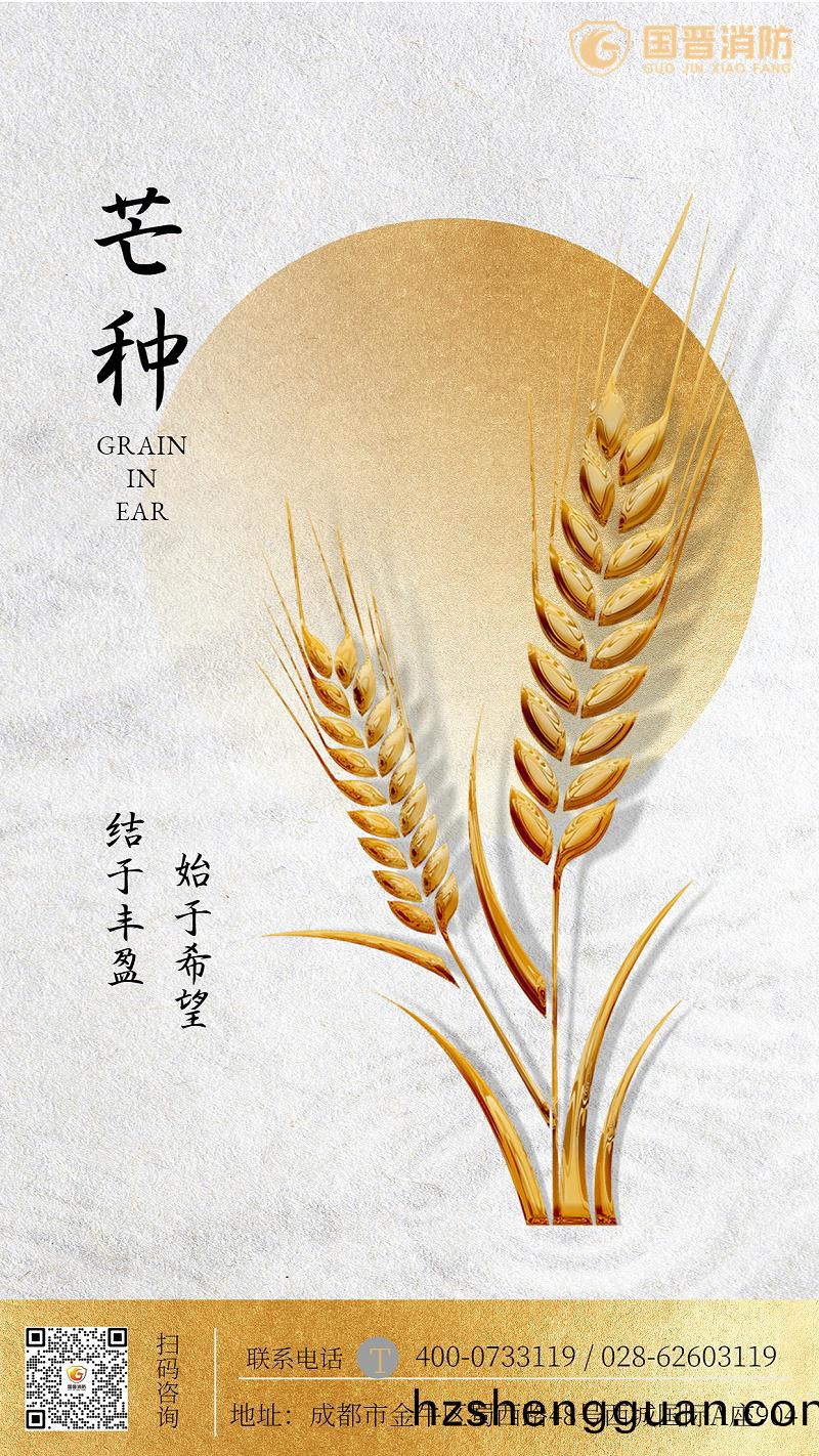 金(jin)螎(rong)保(bao)險芒種節氣(qi)祝(zhu)福簡約海(hai)報