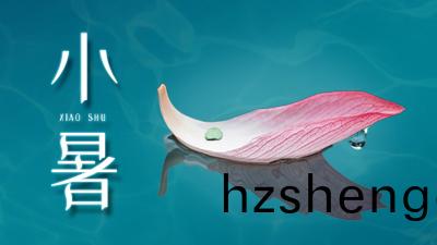 小(xiao)暑(shu)炎(yan)炎(yan)氣(qi)溫高(gao)，防火査(zha)患(huan)怎能少(shao)？—四川(chuan)國晉消(xiao)防